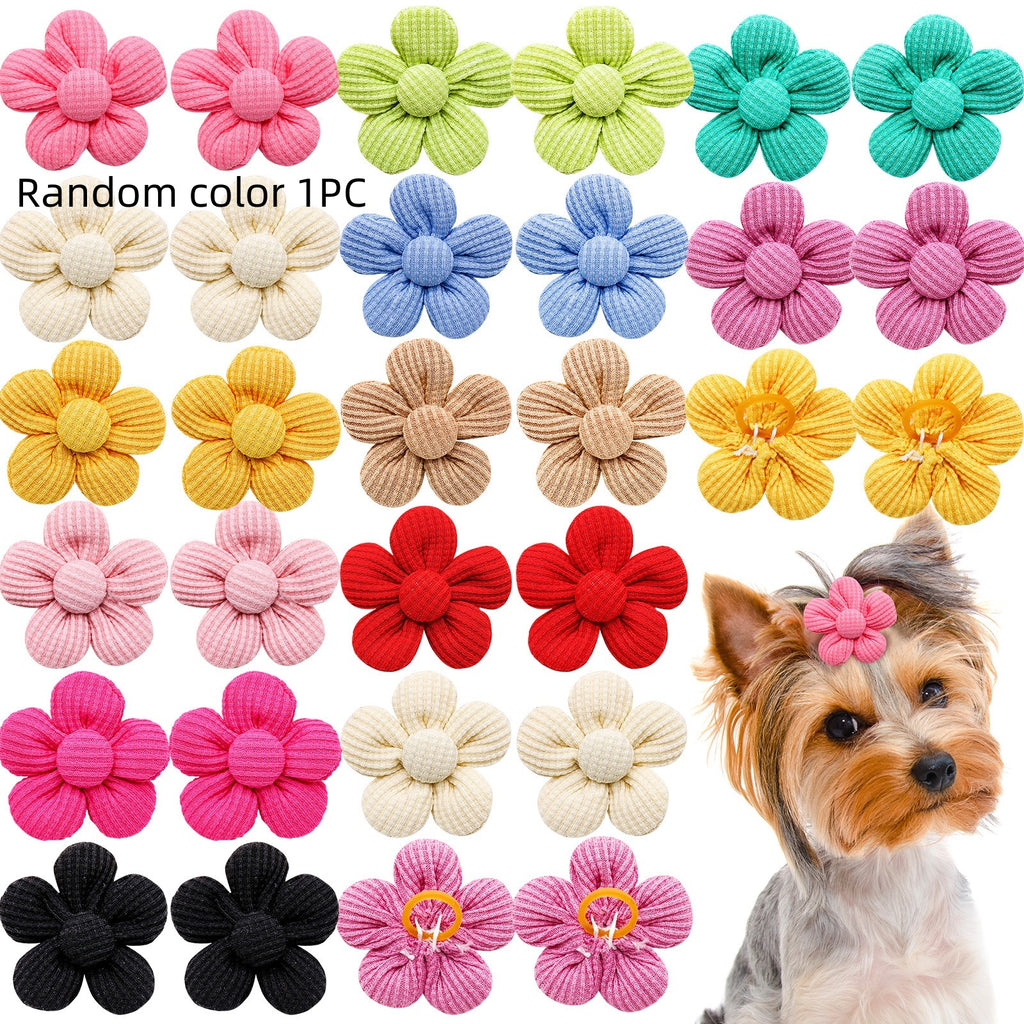 Pet Headdress Flower Spring Flower