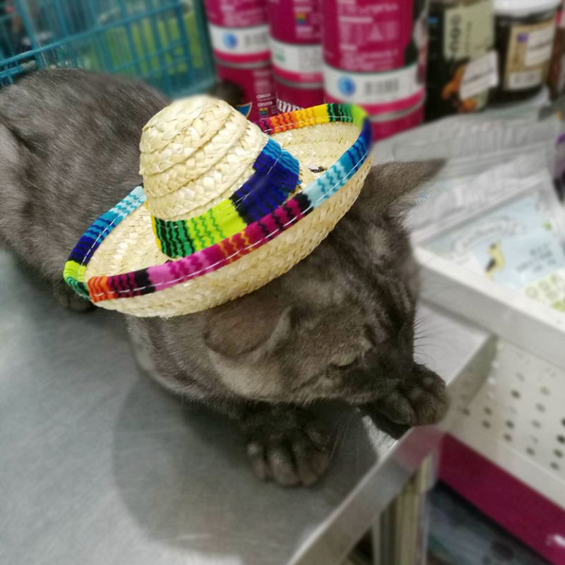 Pet Mexican Straw Hat Pet Cat Sun Hat